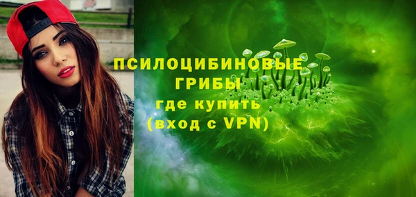 ГАЛЛЮЦИНОГЕННЫЕ ГРИБЫ Осташков