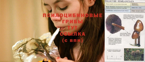 метадон Алзамай