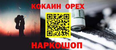 гидра Новодвинск