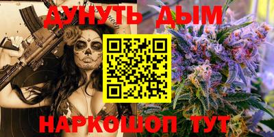 гидра Новодвинск