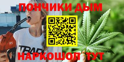 гидра Новодвинск