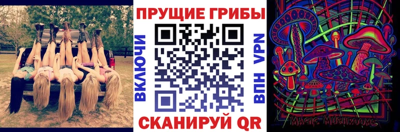 как найти закладки  Топки  Галлюциногенные грибы прущие грибы 