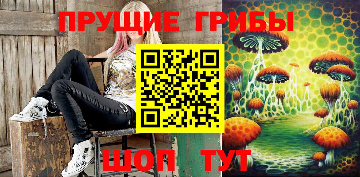 Псилоцибиновые грибы прущие грибы Топки